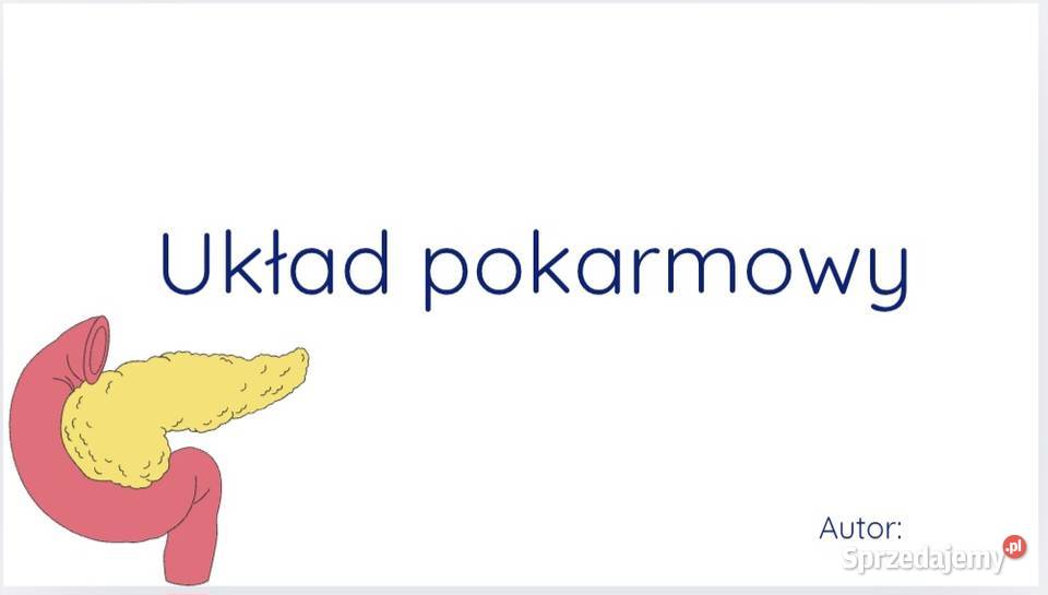 Prezentacja multimedialna referat Rzeszów