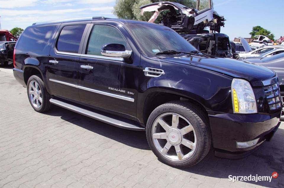 DRZWI PRAWE TYŁ CADILLAC ESCALADE ESV KOMPLETNE kujawsko-pomorskie Lipno