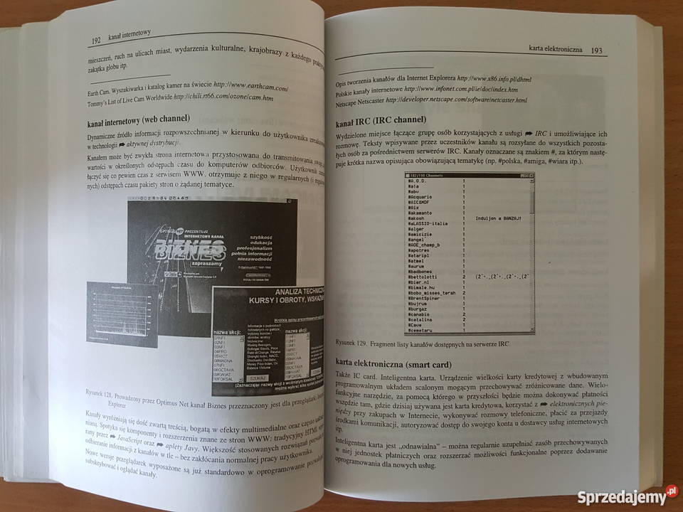 KSIĄŻKA Leksykon Internetu technologia kultura Podręczniki wielkopolskie Złotniki