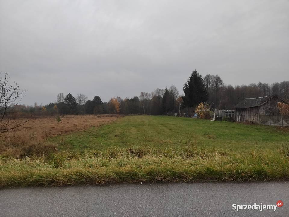 Działka rolna 392 ha Antoniów pow opoczyński woj 39211m2 łódzkie