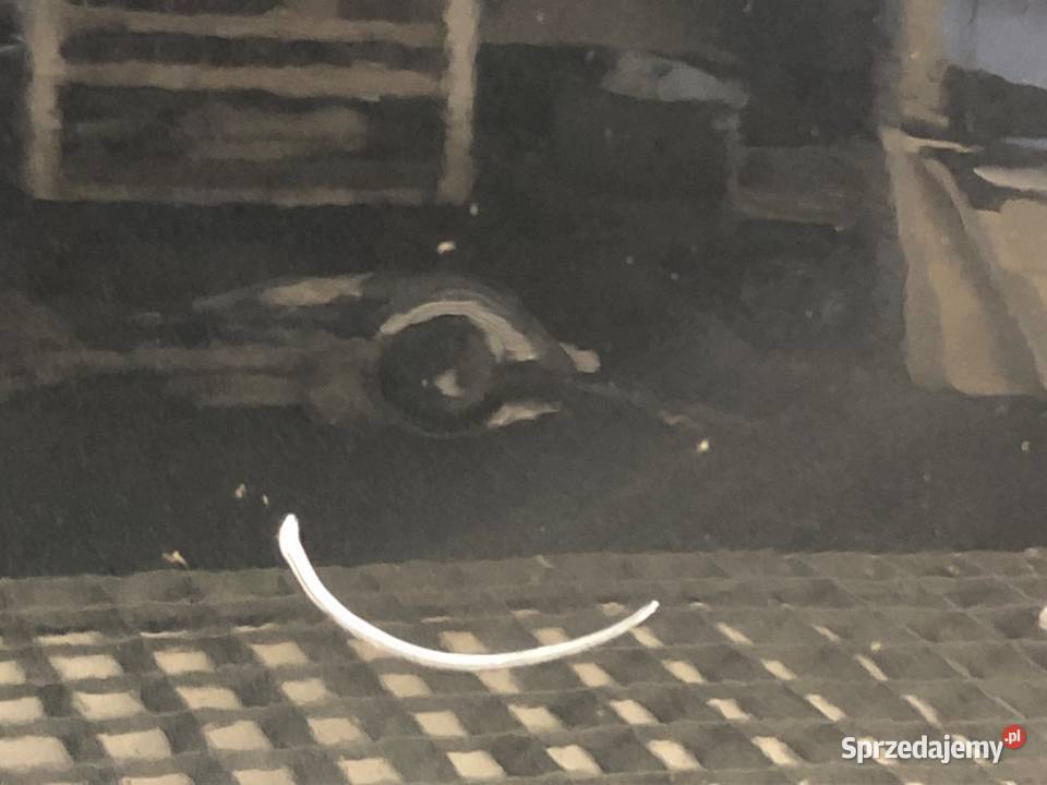 DRZWI PRAWY PRZÓD VW GOLF VI Hatchback 0814 osobowe