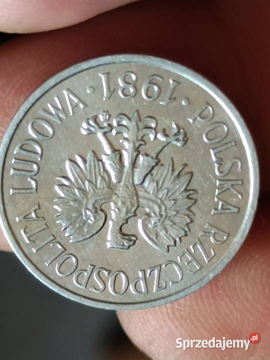 Sprzedam 20 gr 1981 r Chełm