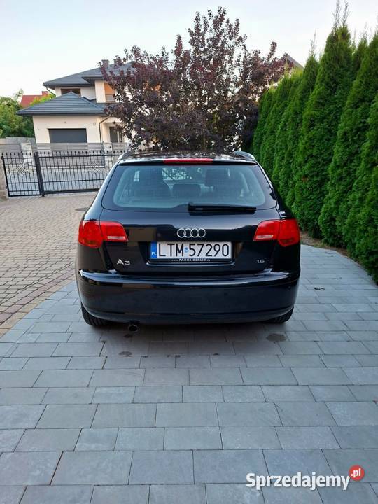 Audi A3 8P 16 MPI Benzyna LPG 2008 r 5drzwi 264 Tomaszów Lubelski