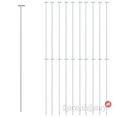 vidaXL Podpórki do roślin 20 ciemnozielone 91 Warszawa