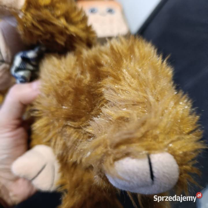 pluszowa zabawka małpka Poznań