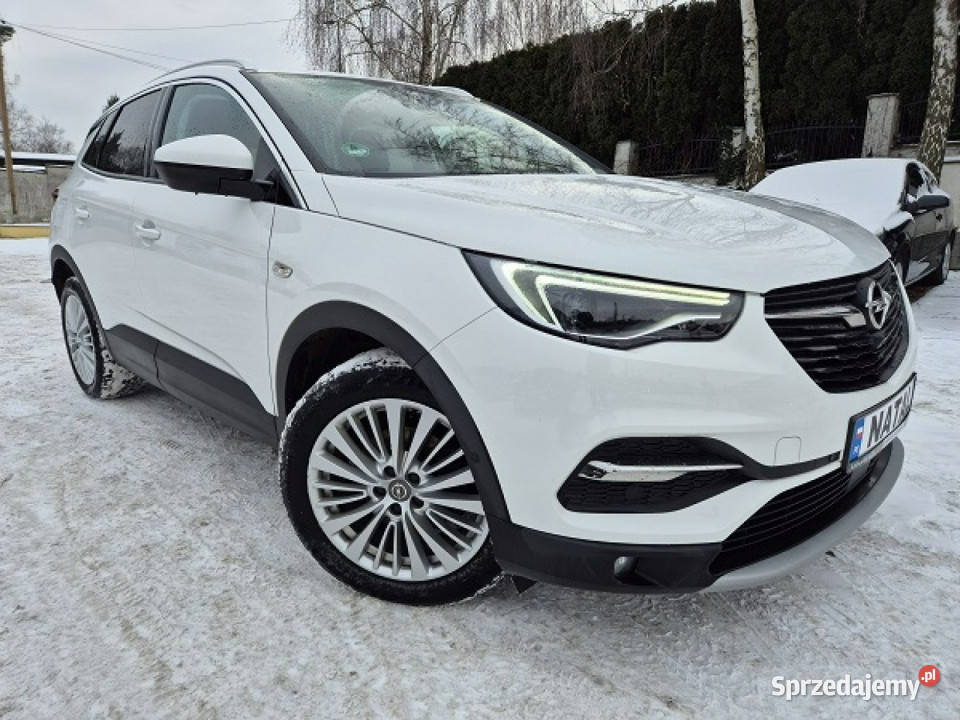 Opel Grandland X Najbogatsza wersja Skora Model światła LED kujawsko-pomorskie Bydgoszcz