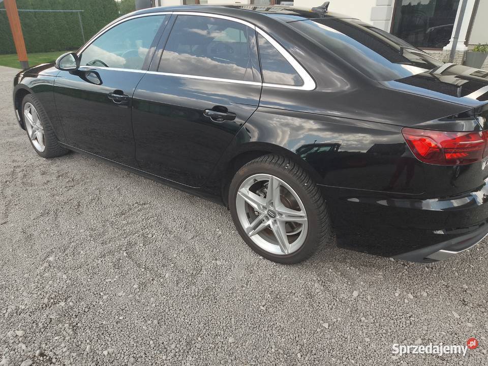 AUDI A4 Borzewisko