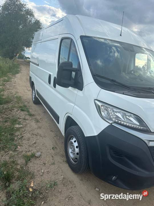 Citroen Jumper L2H2 20 HDi Zadbany Bus Do Pracy wielkopolskie Leszno