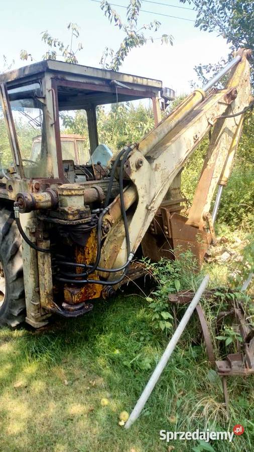 Ostrowek Ursus małopolskie Muszynka