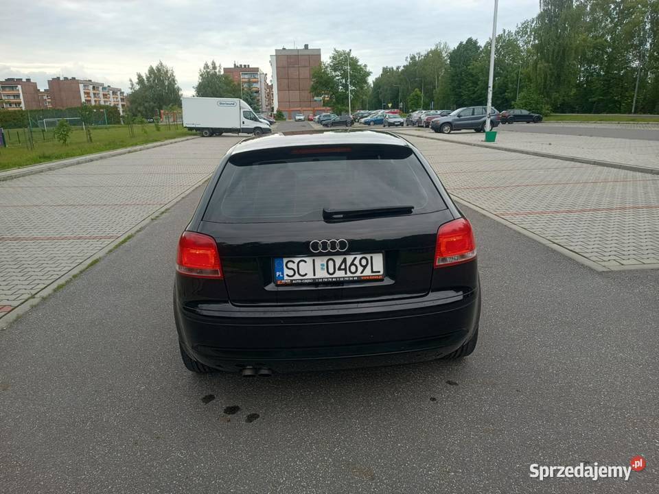 Audi A3 8P 19 TDI DPF Pogwizdów