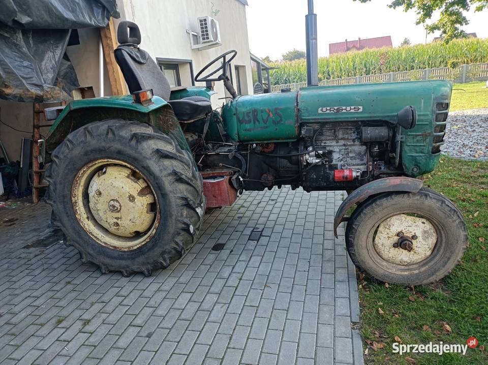 Ciągnik 4011 Ursus wielkopolskie Szklarka Przygodzicka