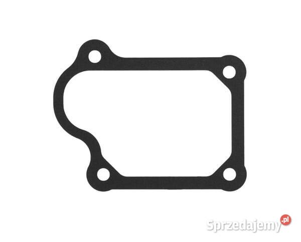 Uszczelka dźwigni uchylnej 110612210 małopolskie Kamionna