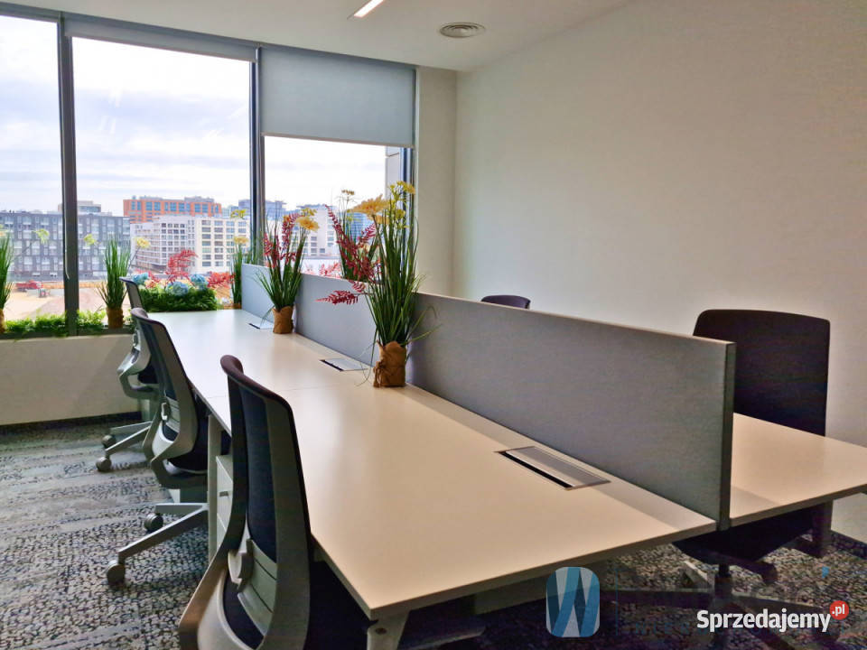 wynajmu lokalu Warszawa Prosta 60m2 Wynajem