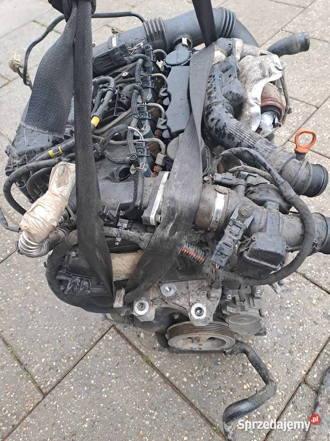Citroen Peugeot 16HDi skrzynia biegów kod 20DM75 Skrzynie biegów manualne śląskie Jastrzębie-Zdrój