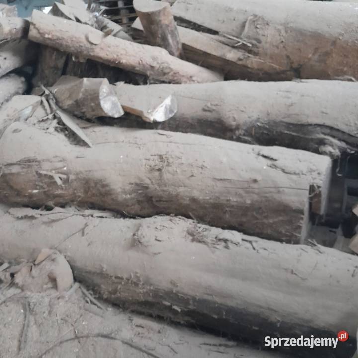 drewno sosnowe leżakowane Międzyrzecz