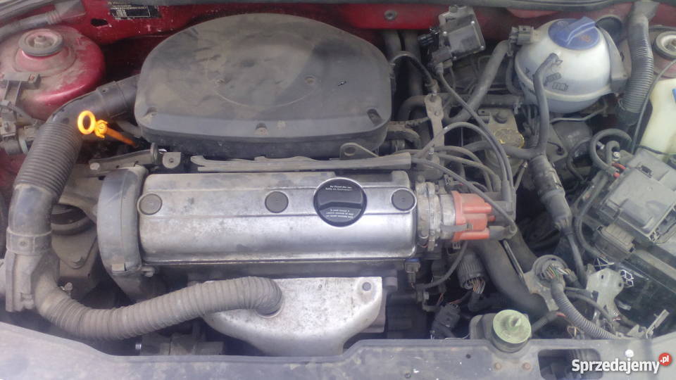 Ładna Polówka poduszka powietrzna Bogdaniec