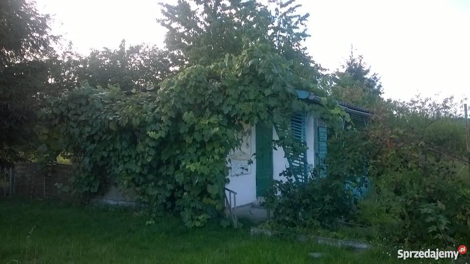Działka ogrodowa sprzedamChodzież Chodzież