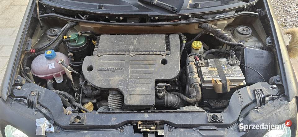 Fiat Panda 4x4 Cross Kępa Polska