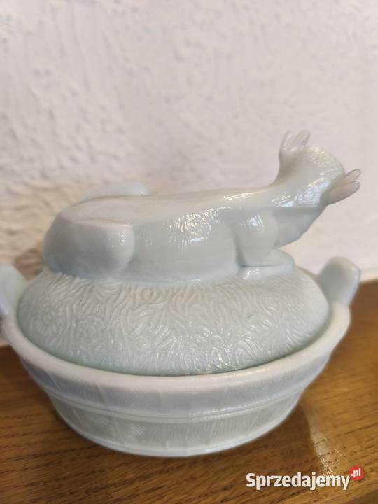 Krowa maselnica lattimo Ząbkowice Konin