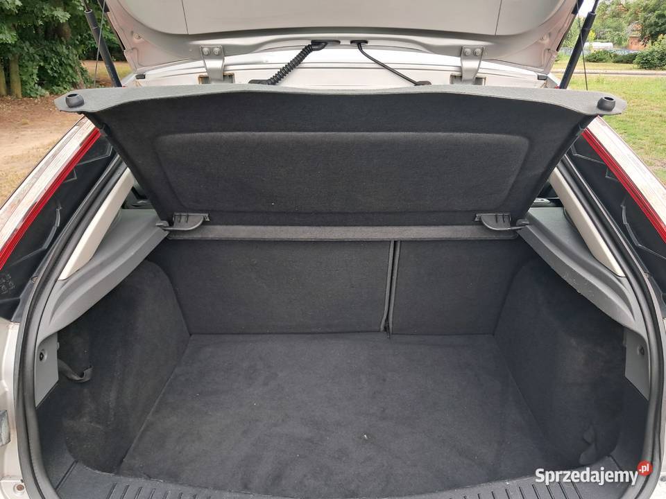 Ślizny Focus 18 benzyna