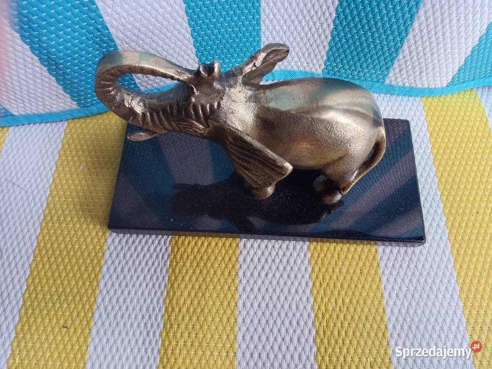 Słonia sprzedam Dekoracje i ozdoby Borówno