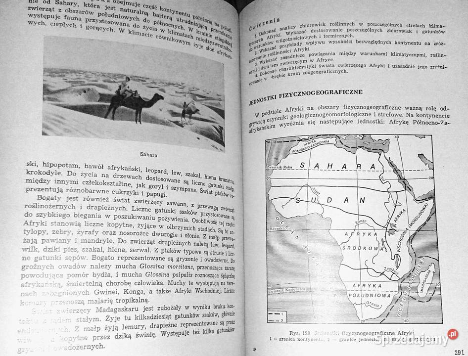 Geografia fizyczna Części świata Zarys Chełm