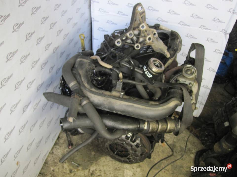 TRANSIT JUMPER BOXER 09 r 22 TDCI P8FA 85 186 Kielce sprzedam