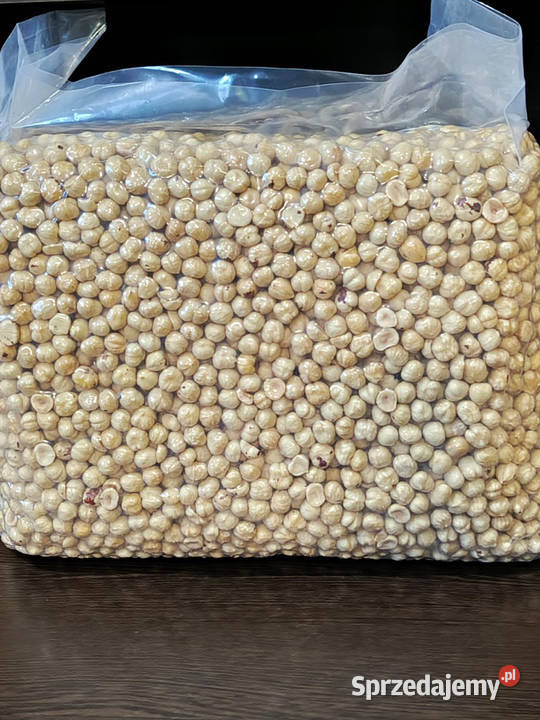 Jadro orzecha laskowego 1315 mm Gruzja podlaskie Białystok sprzedam