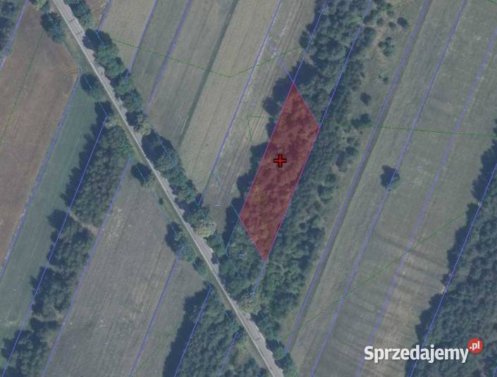 Działka budowlana w Błędnicy Mieszkaniowo mazowieckie Błędnica