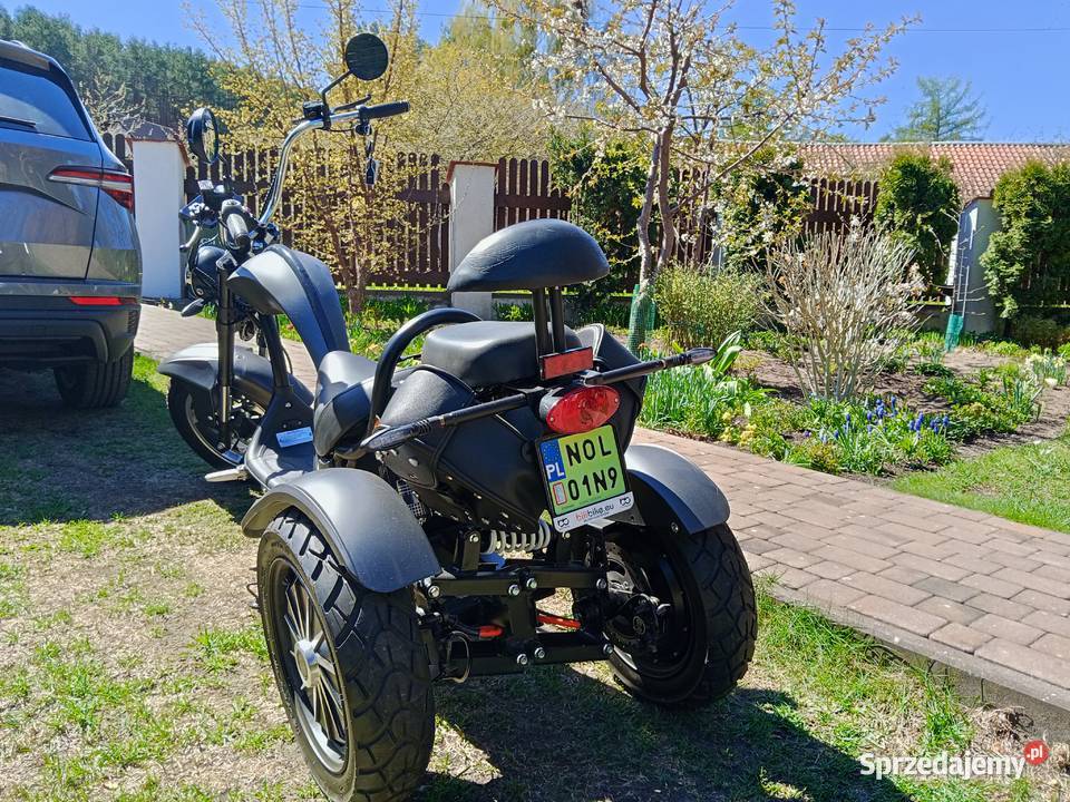 Electric Scooter zarejestrowany w Polsce Pluski