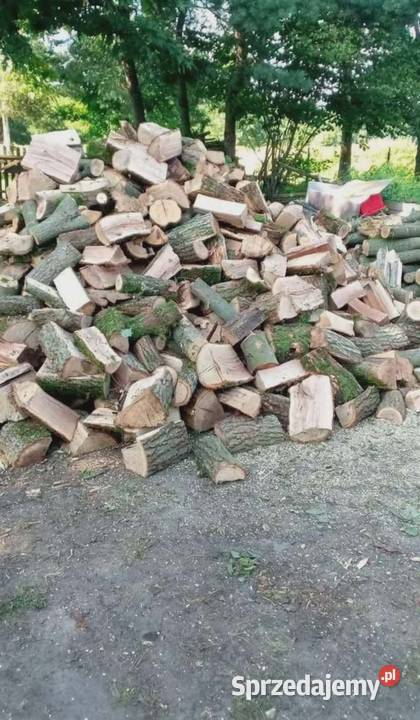 Drzewo Opałowe Opole