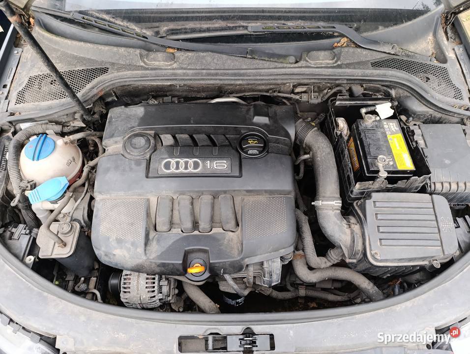 Sprzedam Audi a3 8p 16 8v MPI Hatchback