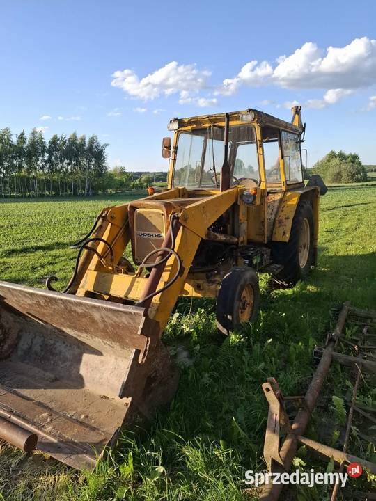Ostrówek k172 Chełm