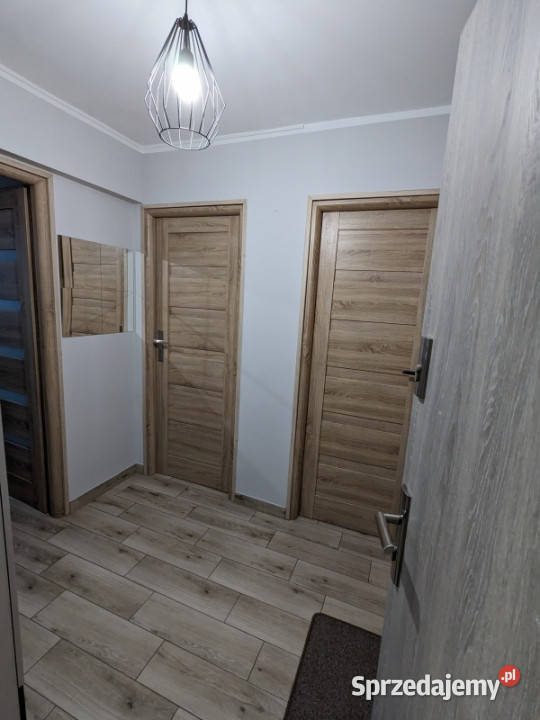 Kraków wynajem 2 pokoje Centrum komfortowe sprzedam