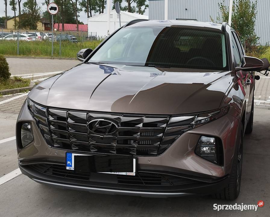Hyundai Tucson Platinum mHev 2wd Silky Brown NA zachodniopomorskie Goleniów