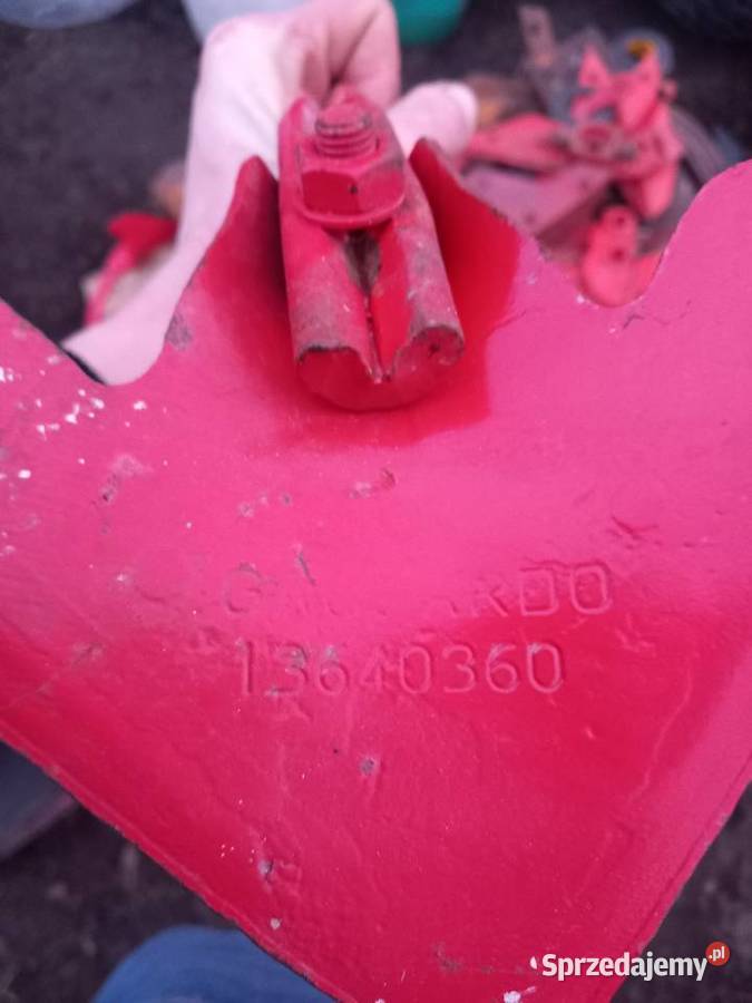 Gęsiostopa gaspardo 13640360 Kowalewo sprzedam
