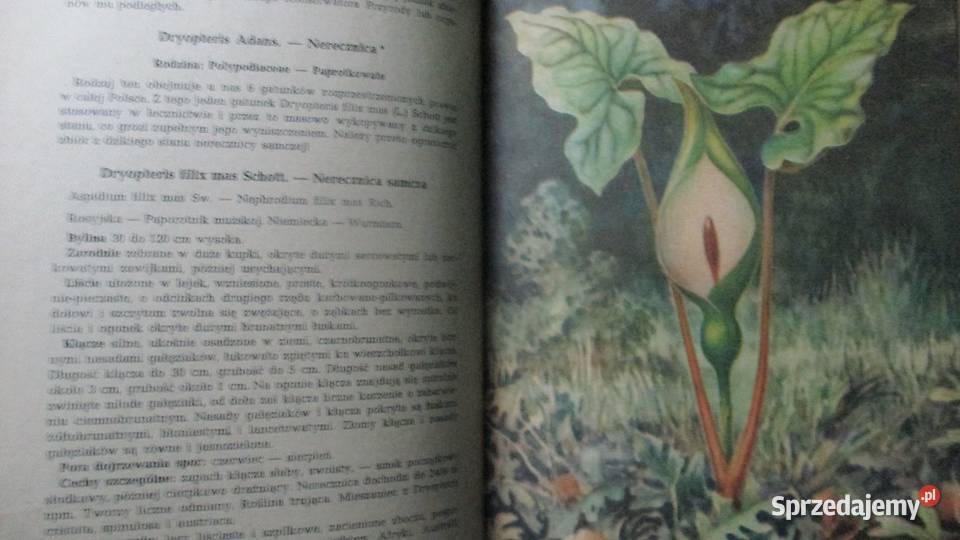 Ochrona roślin w PolsceLeonidas Łódź