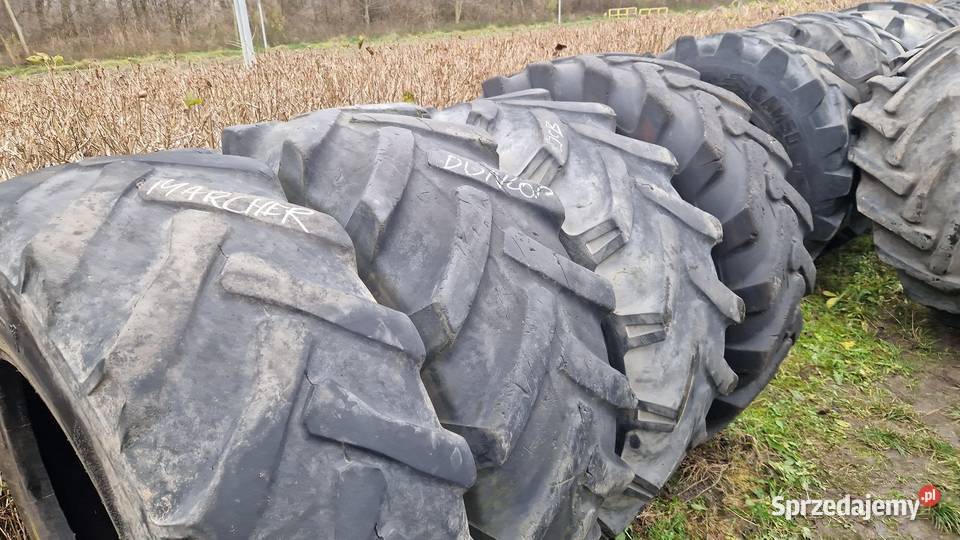 4008024 1558024 15524 Claas Renger Sanderson Nowe Miasto Lubawskie