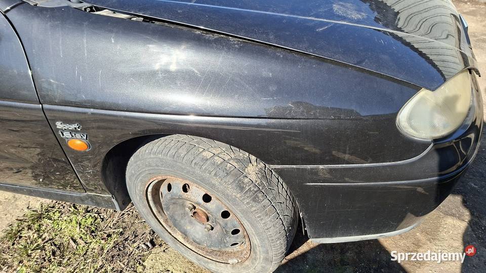 Blotnik Prawy przedni megane 1 lift cope czarny warmińsko-mazurskie Nowe Miasto Lubawskie