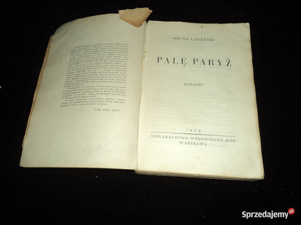 Palę Paryż Brunon Jasieński 1929r wydaniee