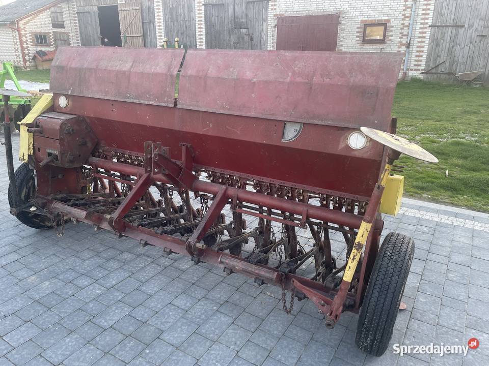 Siewnik poznaniak Skrzynice-Kolonia