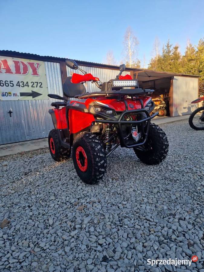 Quad Diabolini Hammer 300PRO XL 200cc chłodzony Rok produkcji 2026 Świerchowa