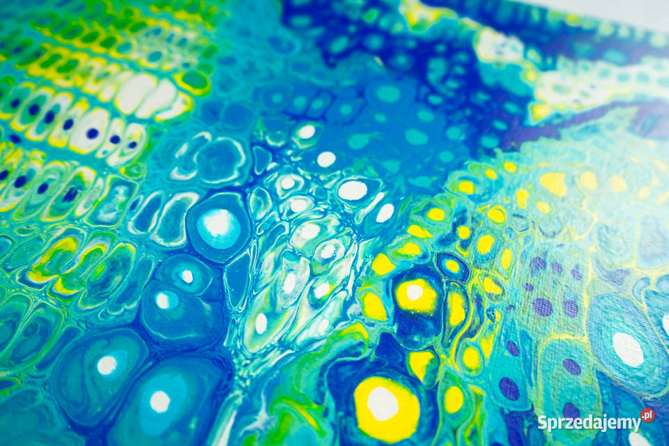 Kolorowy abstrakcyjny obraz Kameleon 50x60 wielokolorowy Warszawa