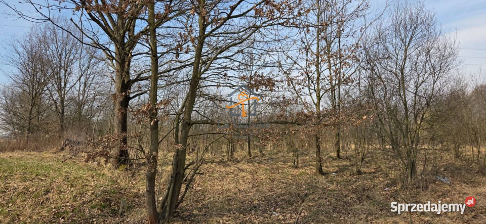 Działka 2847m2 Marcyporęba