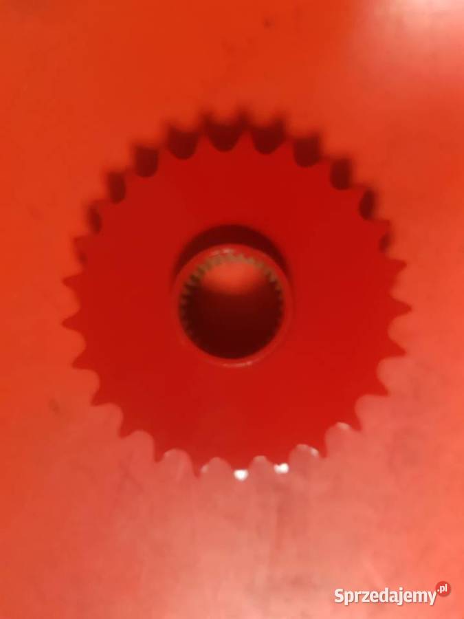 1724534318 Koło łańcuchowe 25Z prasa Lely Welger lubuskie Sulechów