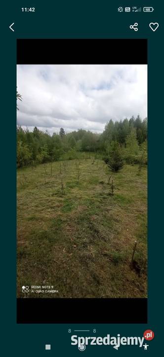 Pole namiotowe kempingowe woda Półwieś