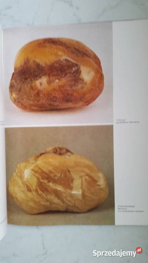 Album POLNISCHER BERNSTEIN Janina Grabowska Puławy sprzedam