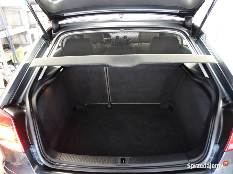 Audi A3 8P 16 Benzyna 102 FV VAT 2x Alufelgi 1597cm3 sprzedam