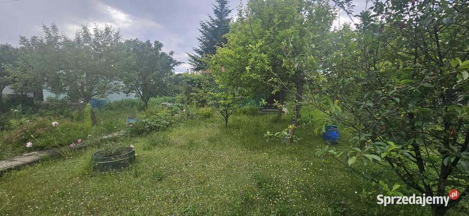 Zielona Działka ROD Ariadna Dąbrowskiego Łódź