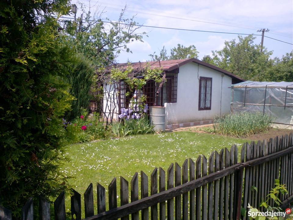 Działka rekreacyjna 560m ogródki działkowe asfalt Mielec